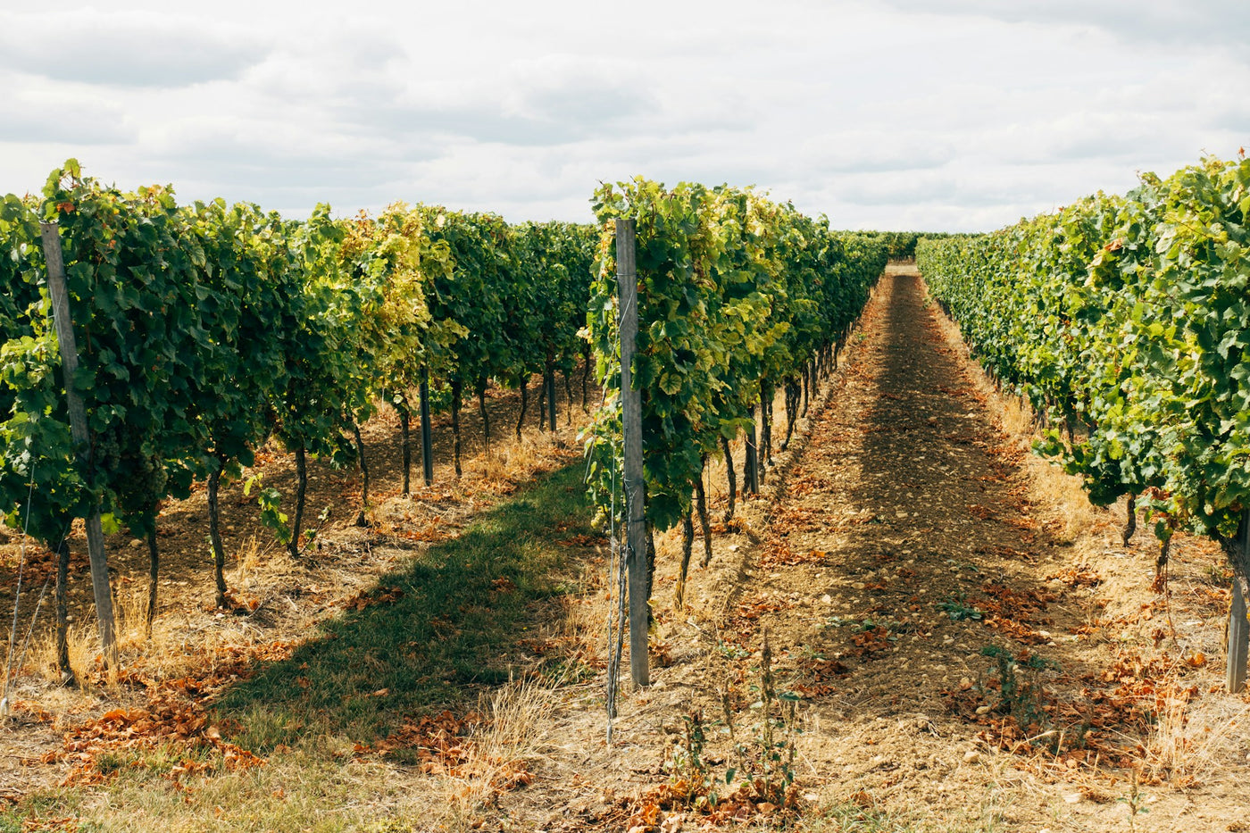 Bordeaux Region