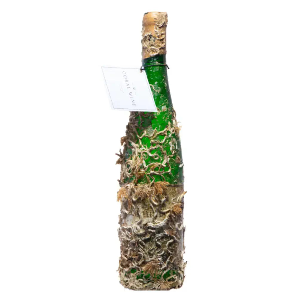 5+1 Weingut Thanisch Erben Müller Burggraeff Bernkasteler Doctor GG 2021 Collectors Wine World GmbH