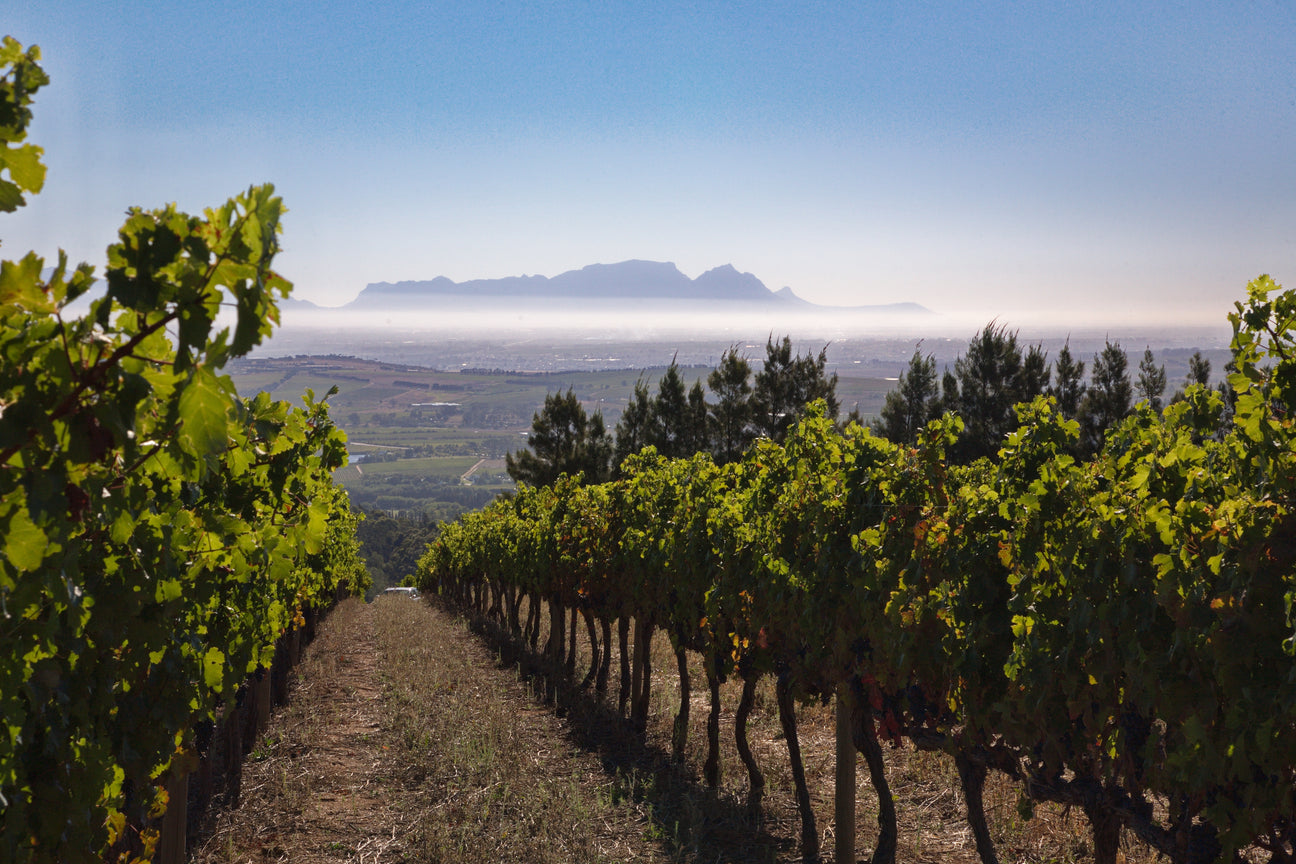 OUTSTANDING! 10 JAHRE GEREIFT - THE STARS OF G. 2013 Collectors Wine World GmbH