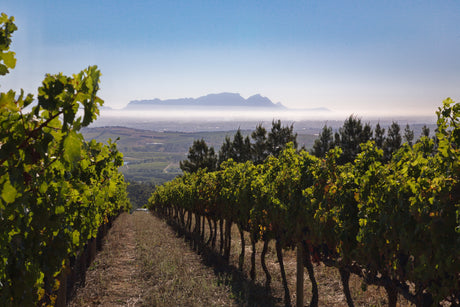 OUTSTANDING! 10 JAHRE GEREIFT - THE STARS OF G. 2013 Collectors Wine World GmbH