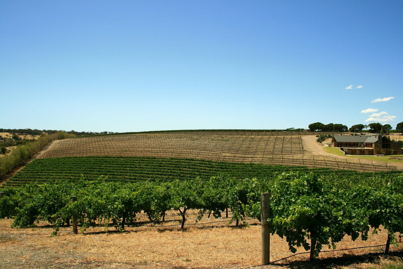 Côte de Beaune – collection image