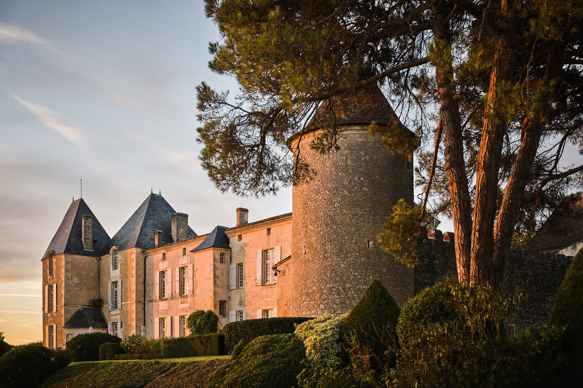 Château d'Yquem Collectors Wine World GmbH