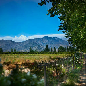 Aconcagua Valley