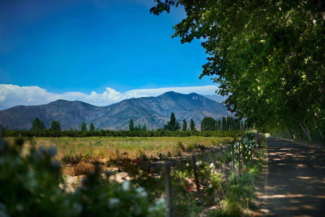 Aconcagua Valley