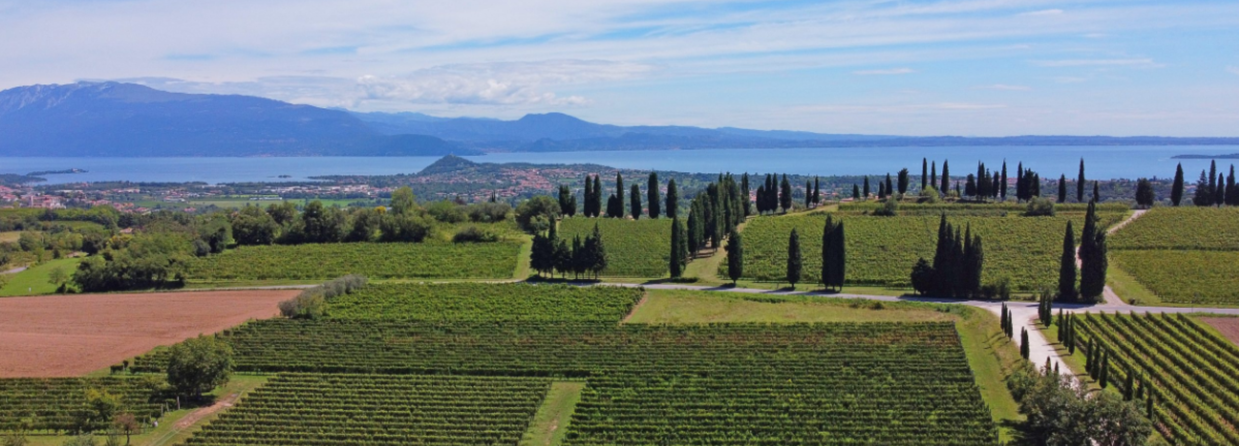 Cantine Scolari