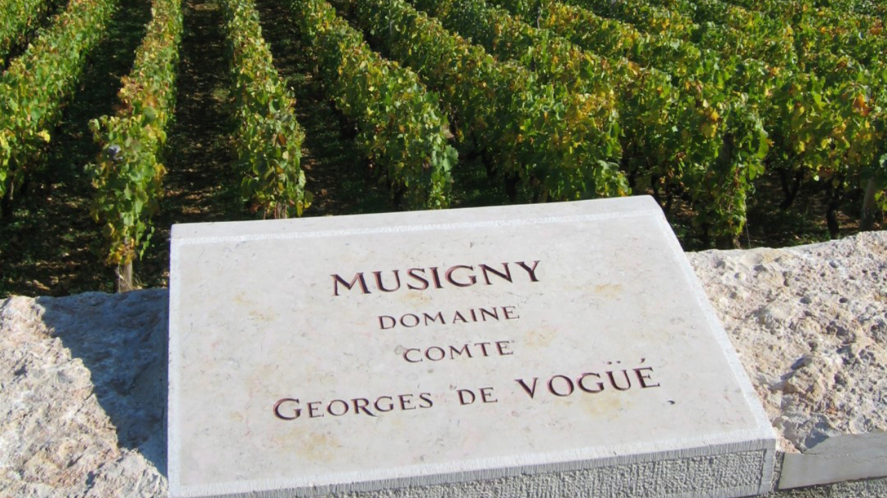 Domaine Comte Georges De Vogüé