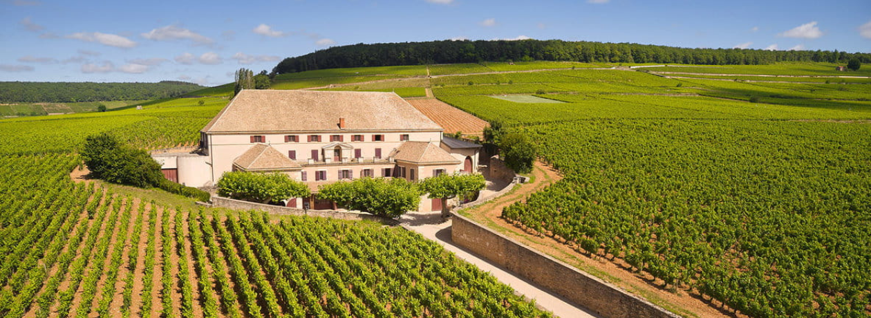 Louis Latour Collectors Wine World GmbH