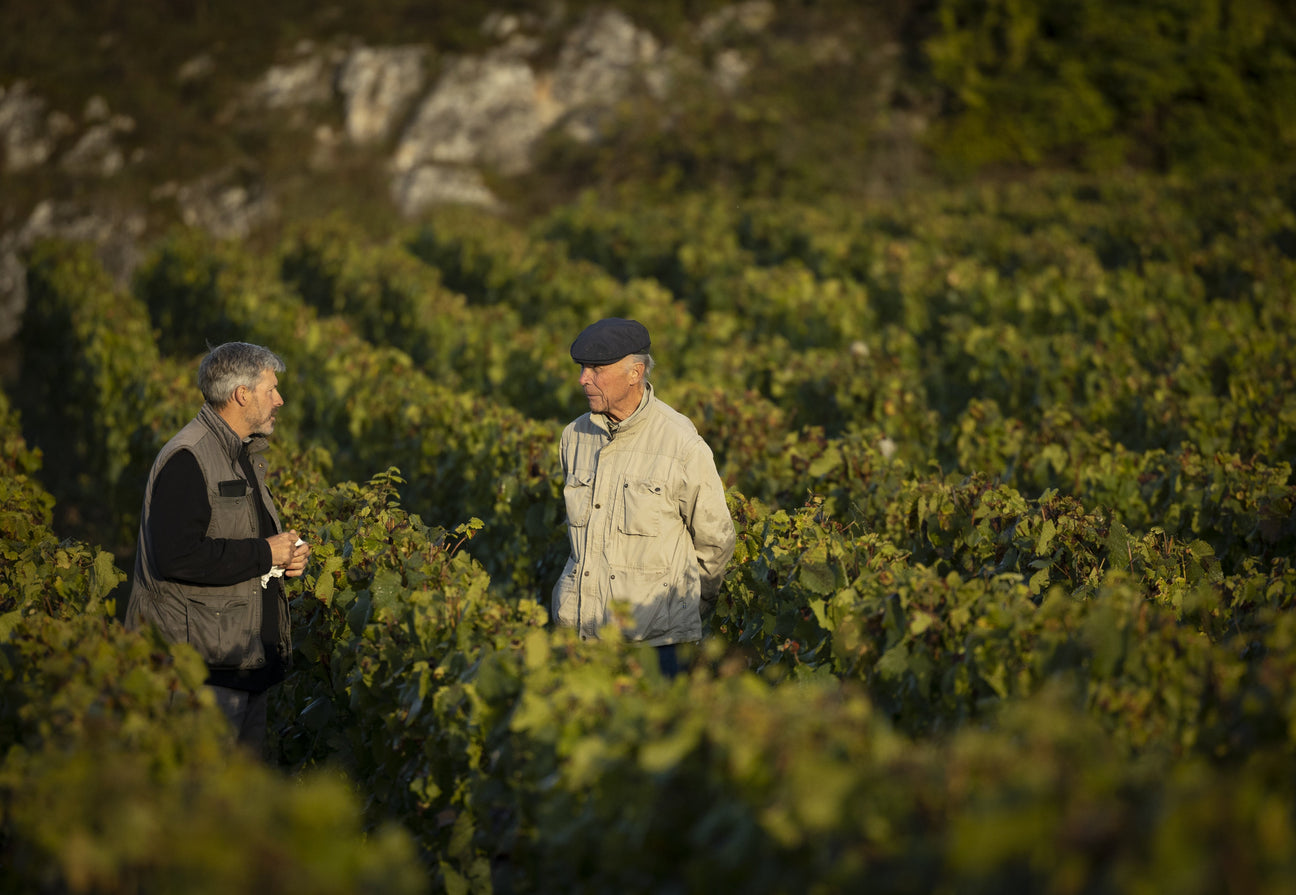Domaine de la Romanée-Conti