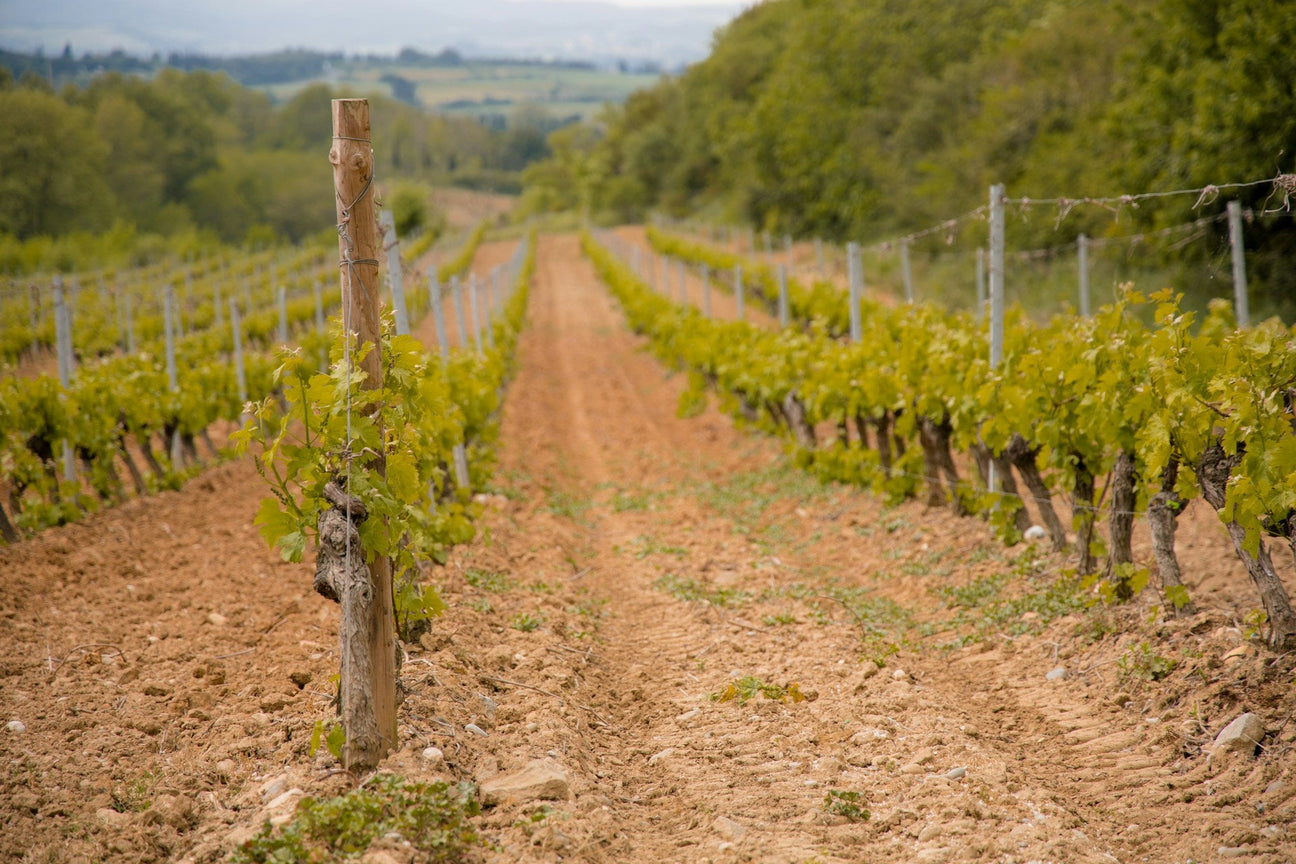 France Collectors Wine World GmbH