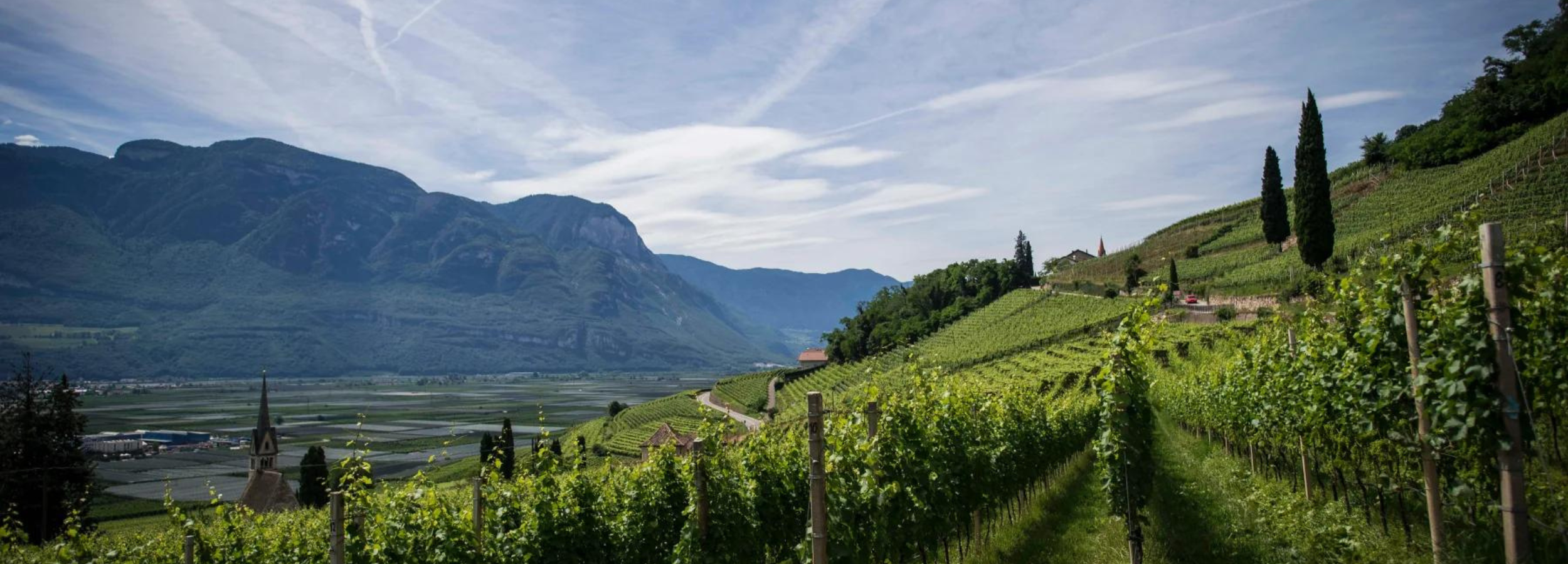 Tenuta San Leonardo