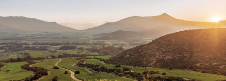 Chile Collectors Wine World GmbH