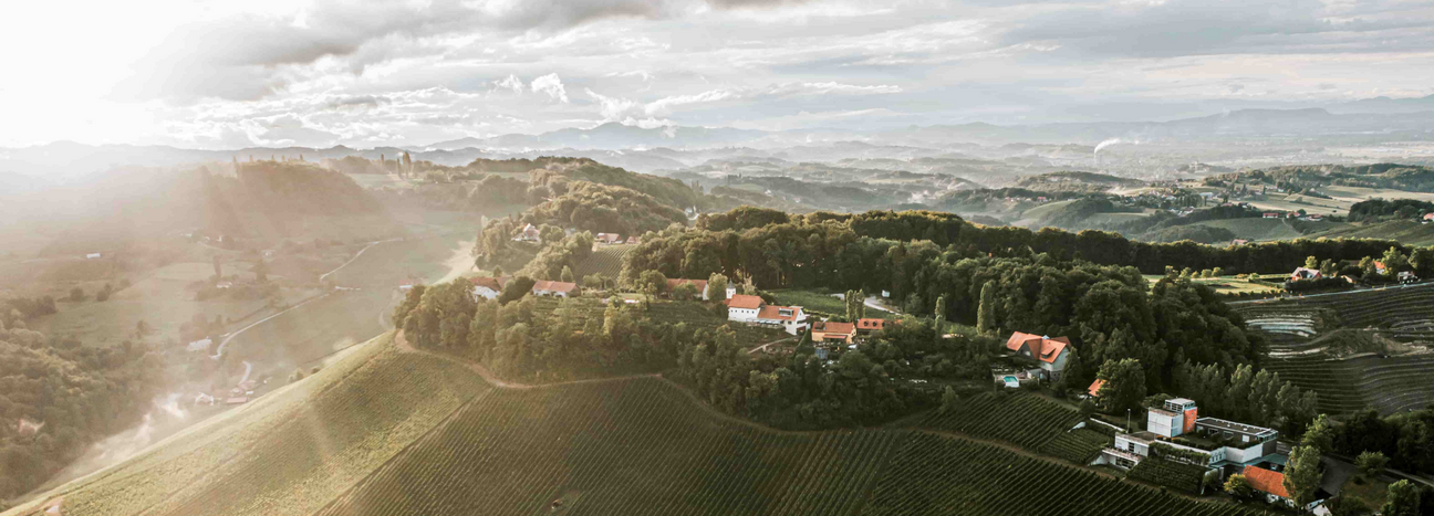 Österreich Collectors Wine World GmbH