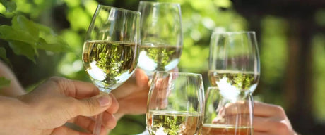 Ausgezeichnete Weißweine aus Europa Collectors Wine World GmbH