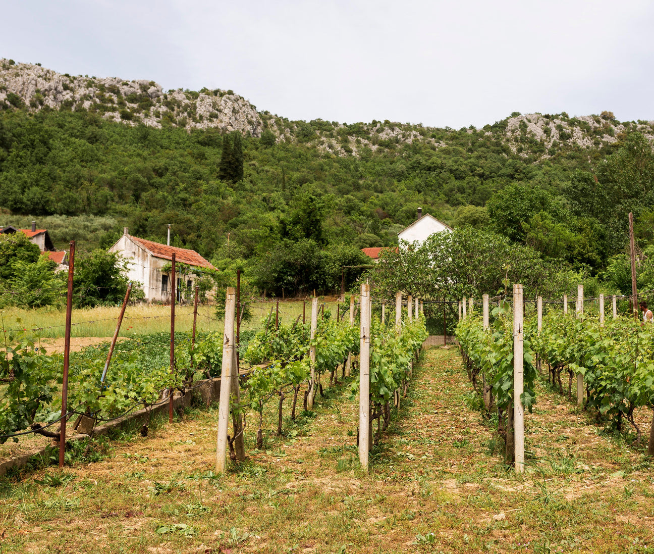 Domaine de la Grange des Pères