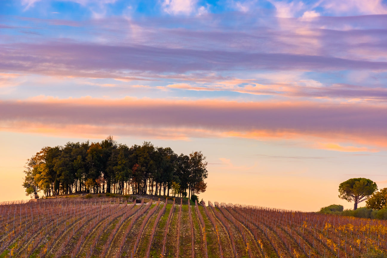 Domaine Tempier