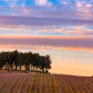 Provence