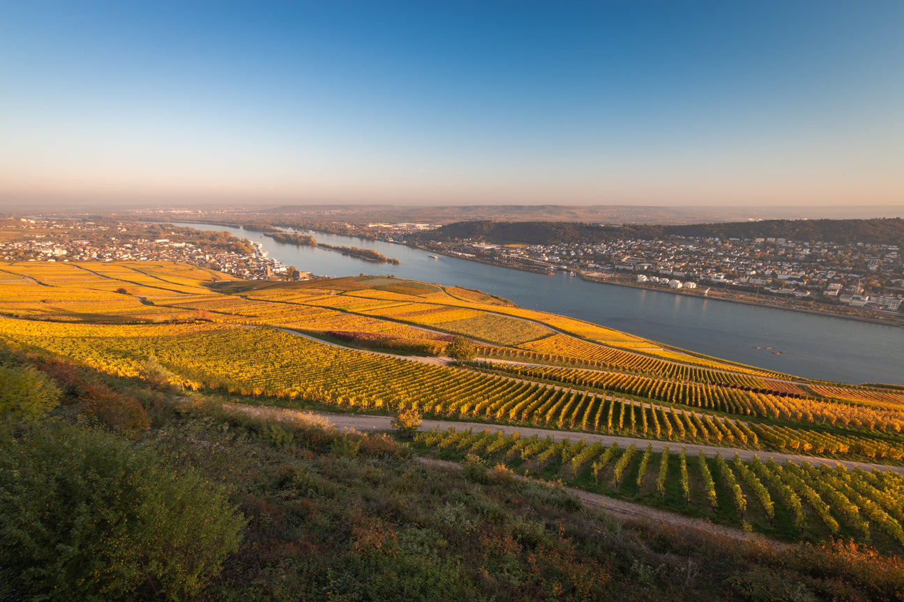 Peter Jakob Kühn Collectors Wine World GmbH