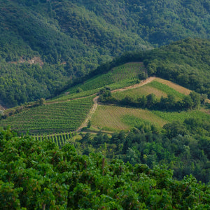 Rhône