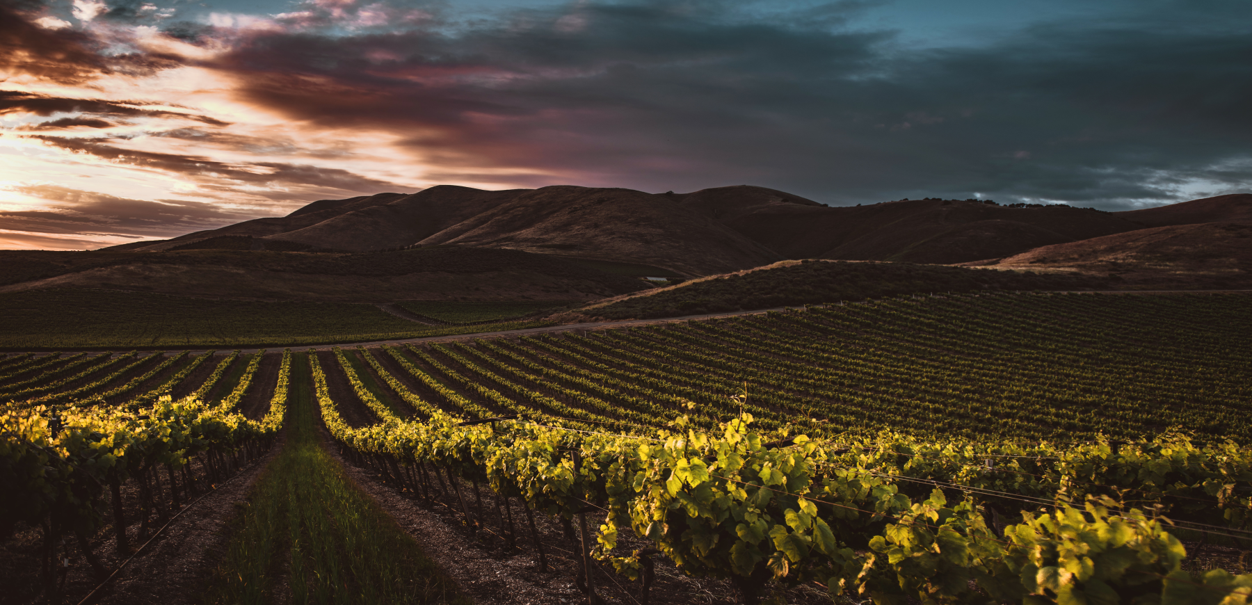 Ribera del Duero