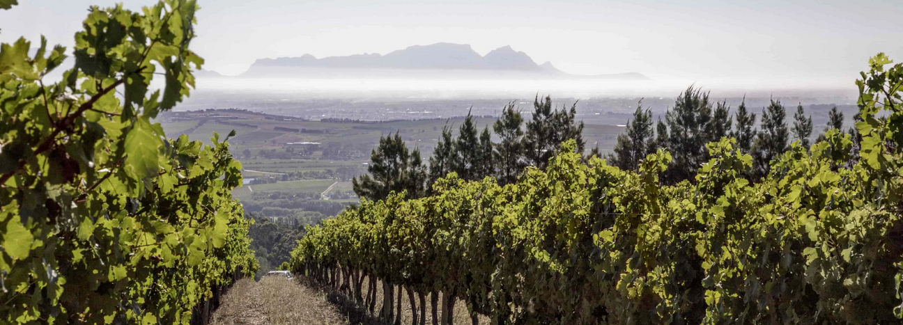 Südafrika Collectors Wine World GmbH