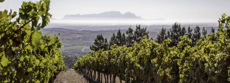 Südafrika Collectors Wine World GmbH