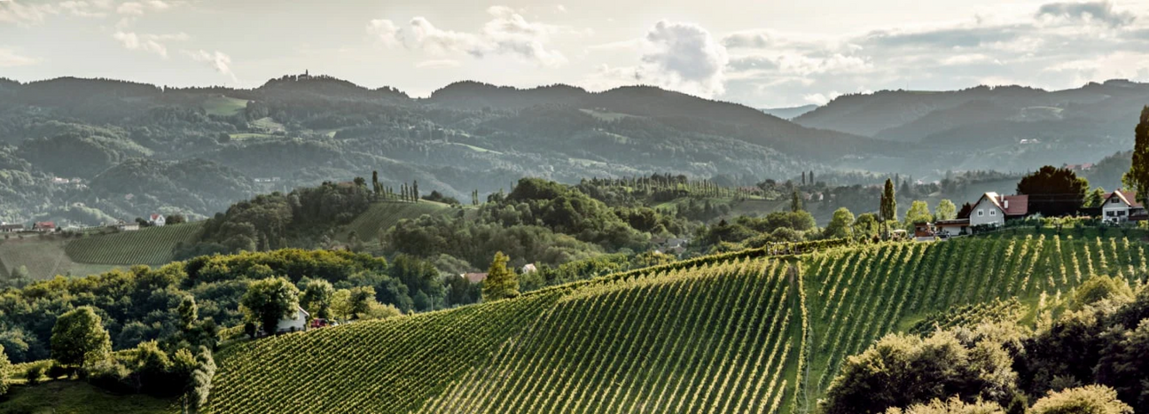 Australien Collectors Wine World GmbH