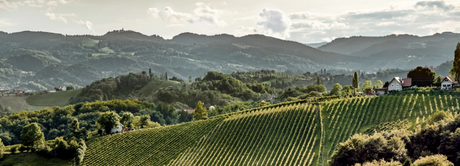 Australien Collectors Wine World GmbH