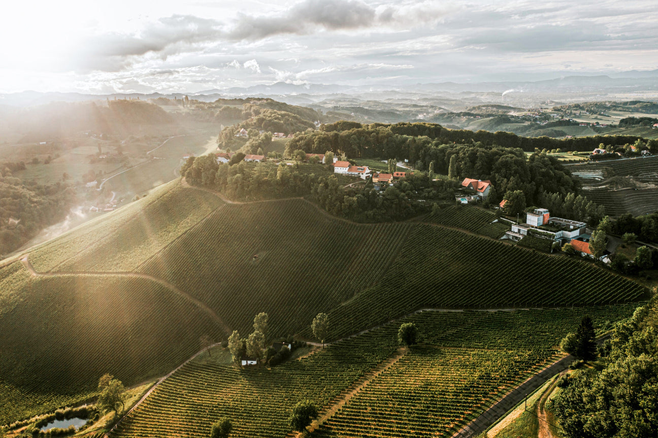 Drohnenaufnahme of Winery Tement in the Sonne