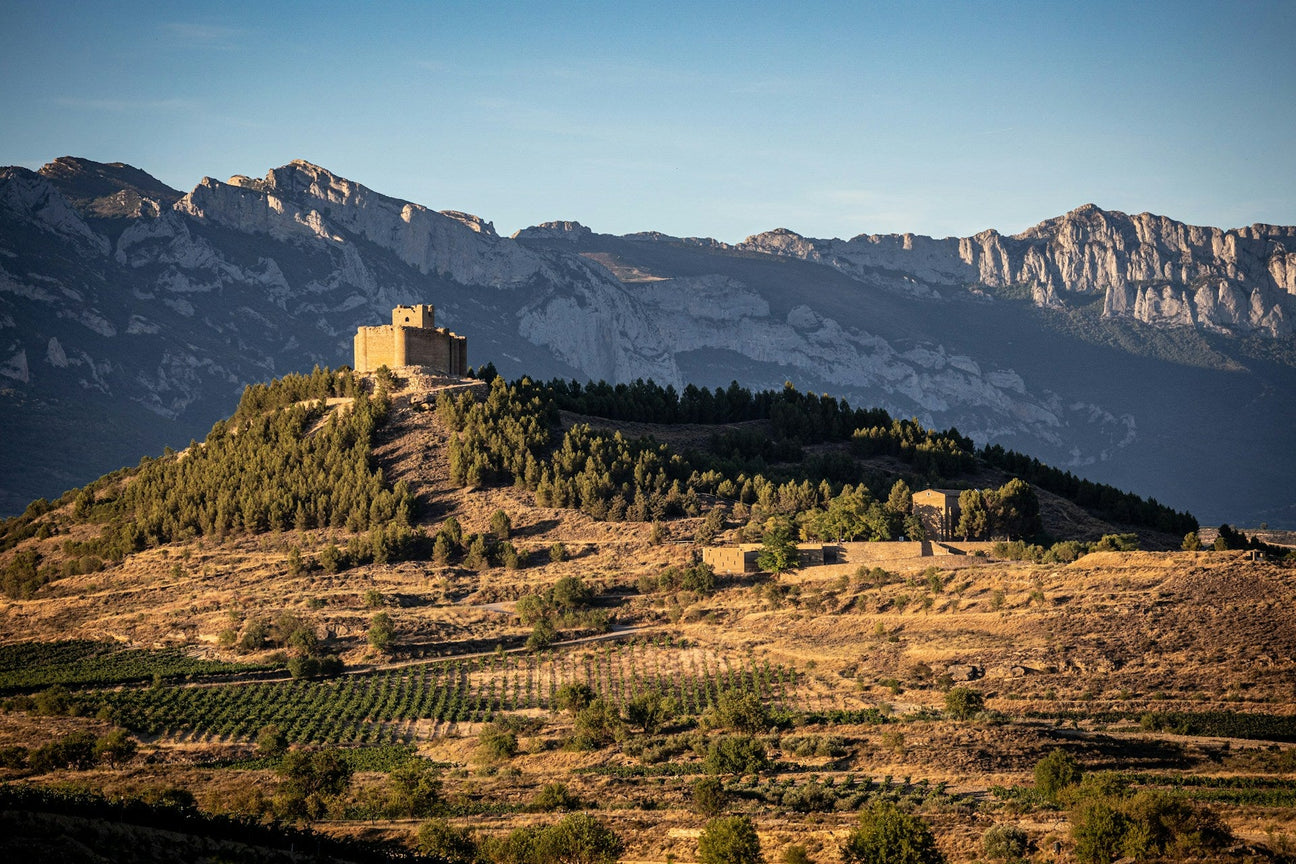 Weinberge in Rioja