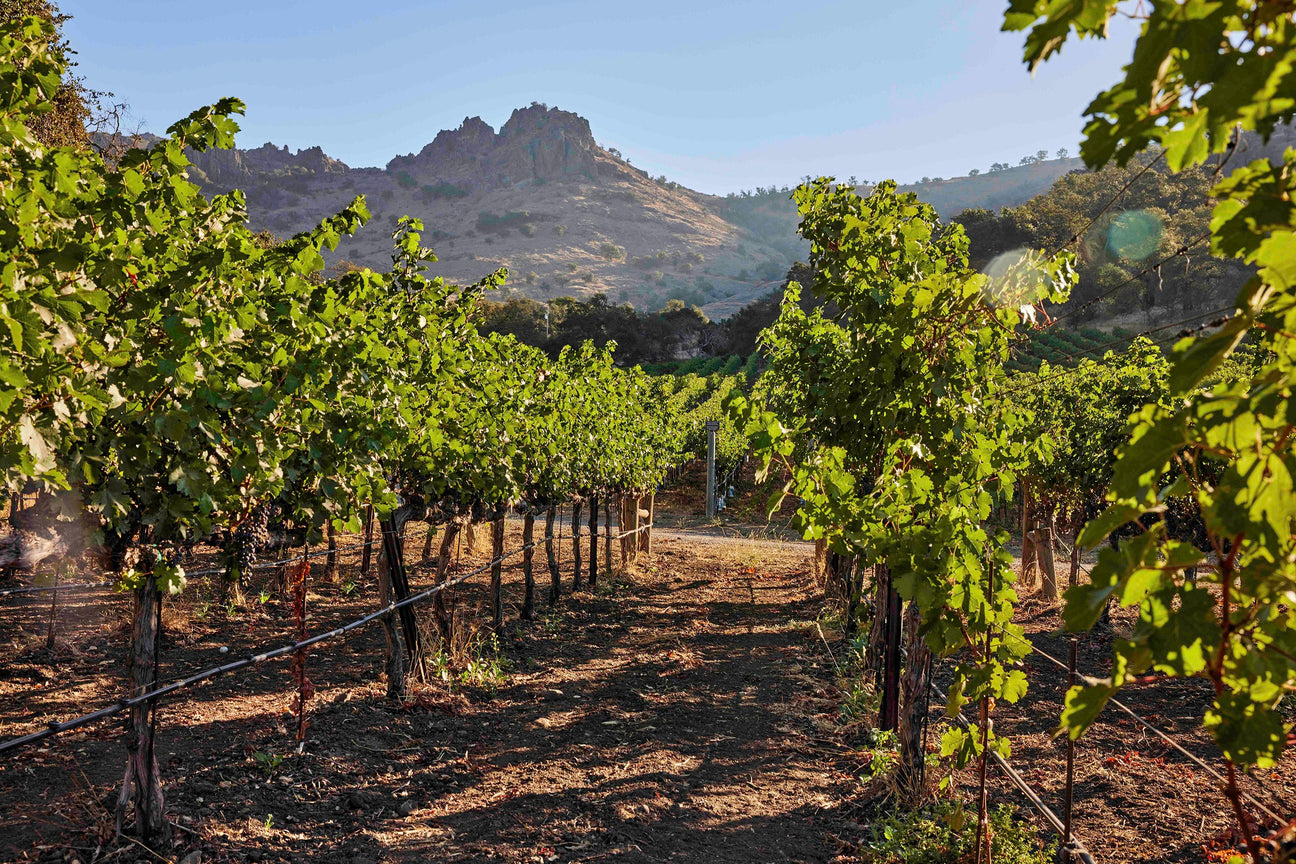 Stag’s Leap Wine Cellars