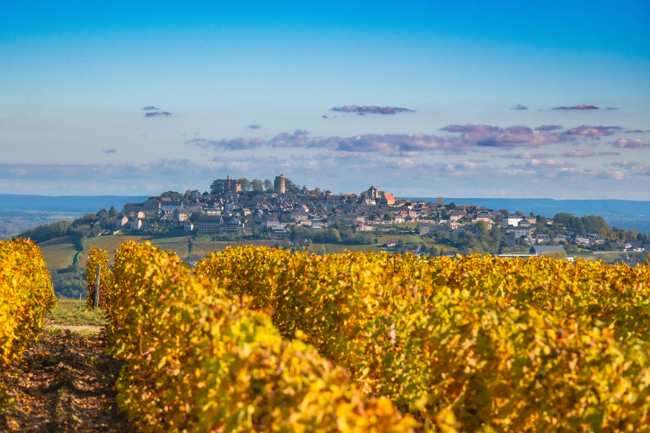 Weinberge in Sancerre