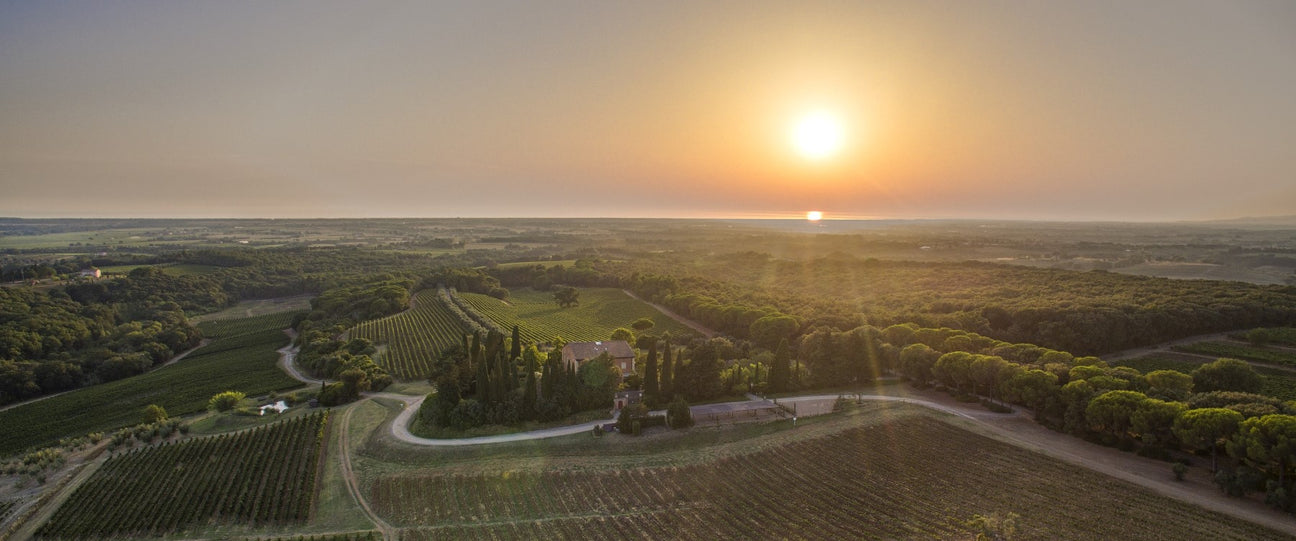 Super Tuscans - Die Kultweine Collectors Wine World GmbH
