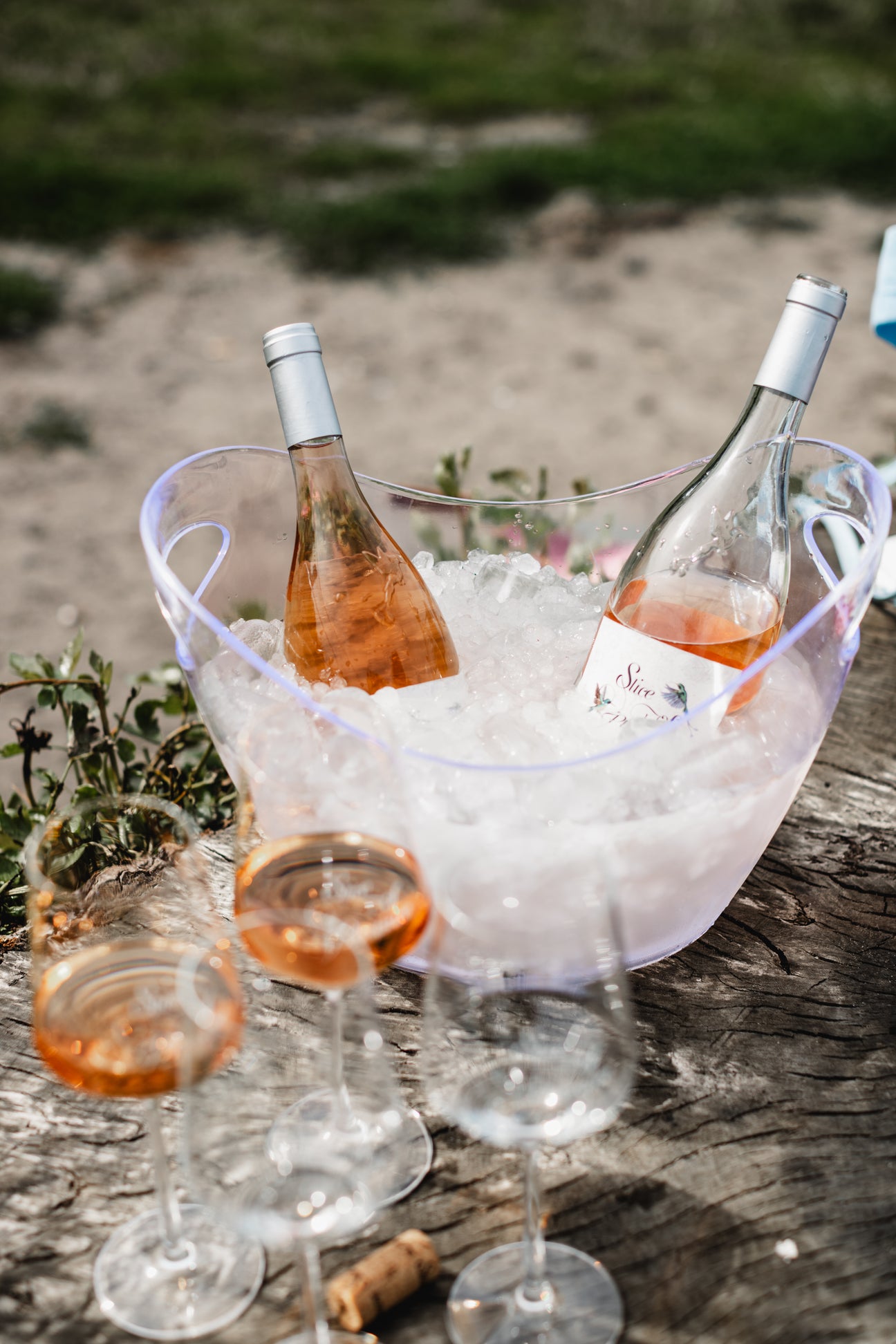 Sommerweine für den Alltag Collectors Wine World GmbH