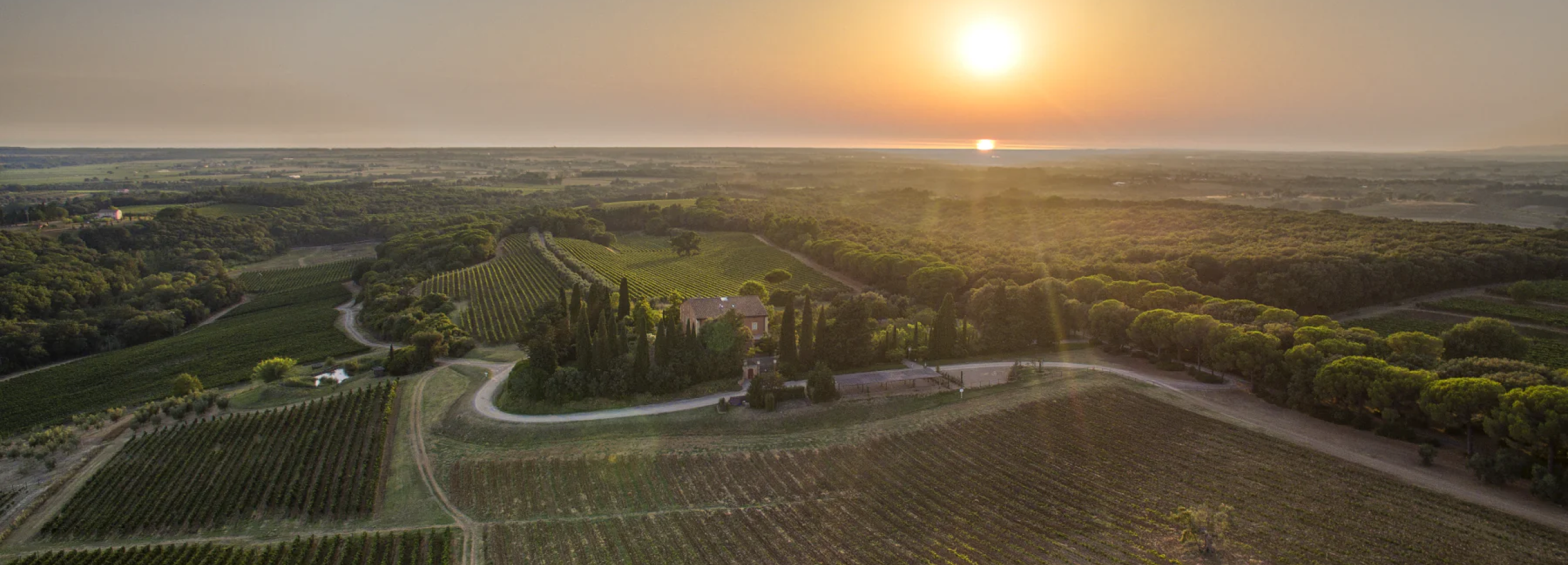 Tenuta di Biserno