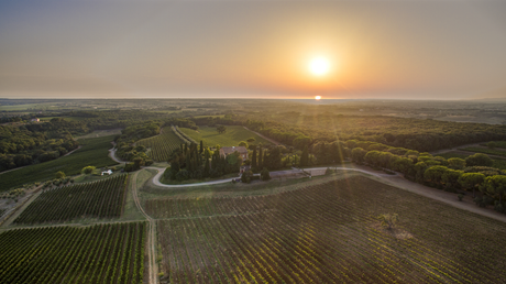 Umbrien Collectors Wine World GmbH