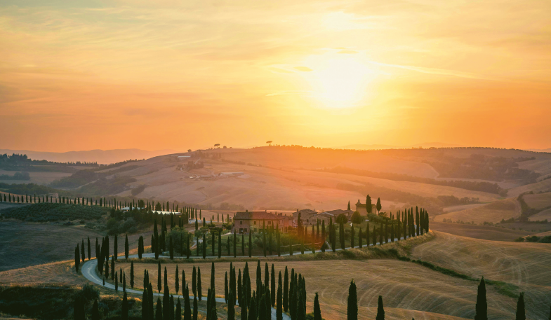 Der Geschmack des Spätsommers - Supertuscans und die besten Weine der Toskana