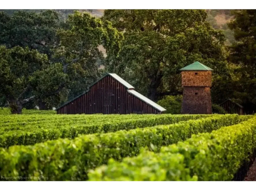 Ulysses Wine Cellars