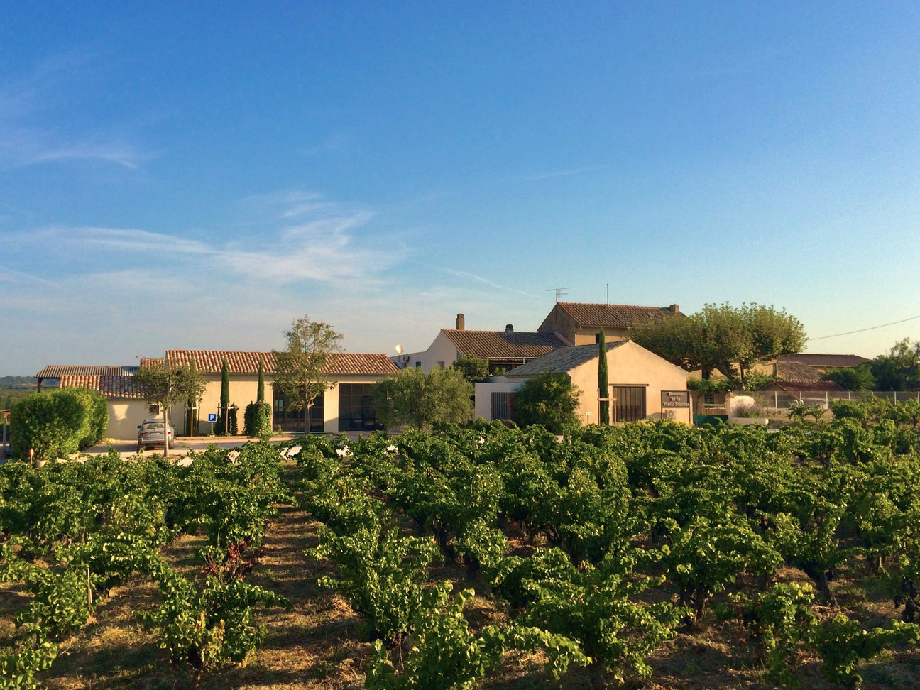 Weingut Vieille Julienne 