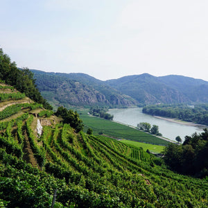 Wachau