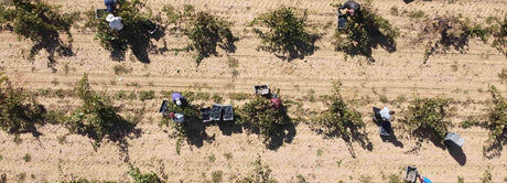 Argentinien Collectors Wine World GmbH