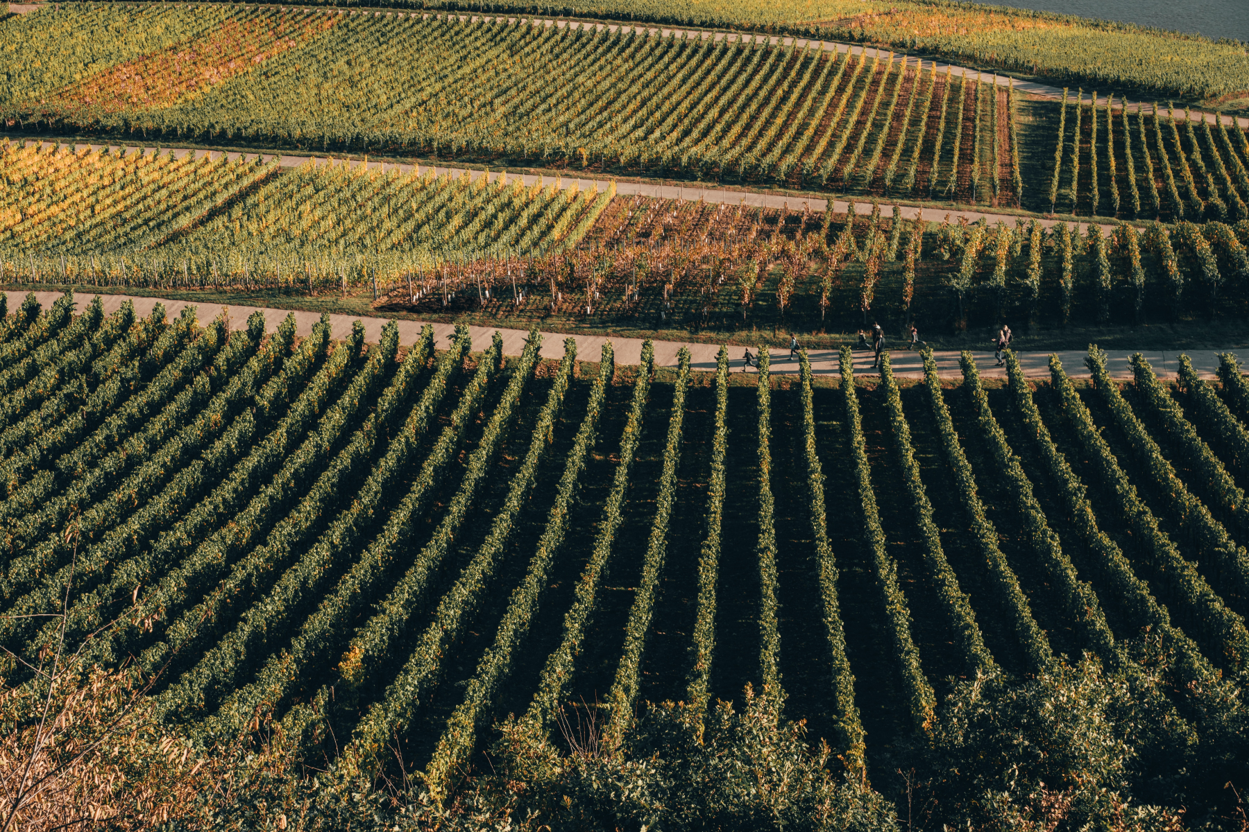 Weingut Korrell Johanneshof