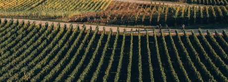 Peter Jakob Kühn Collectors Wine World GmbH