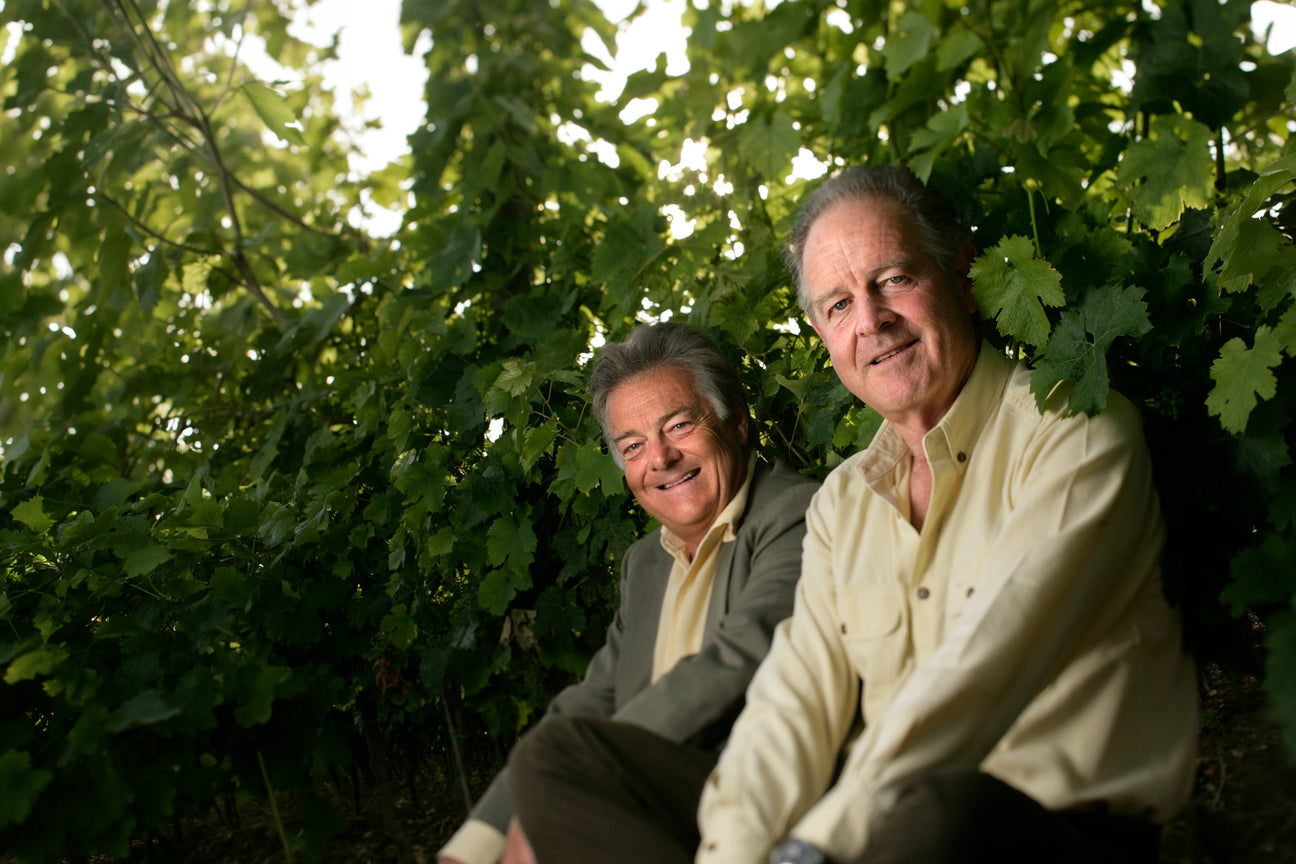 Tenuta di Biserno Collectors Wine World GmbH