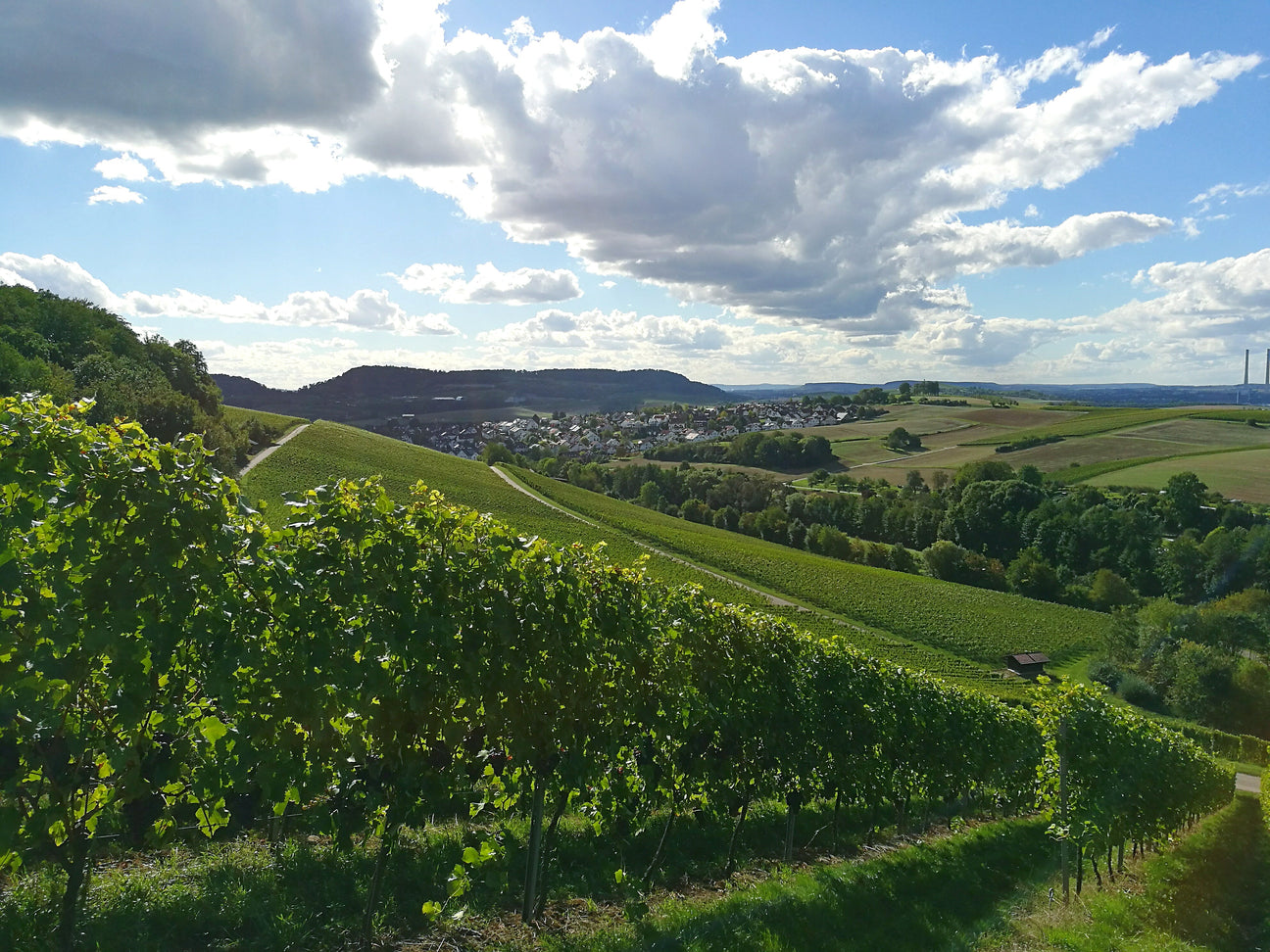 Weingut Dr. Bürklin-Wolf