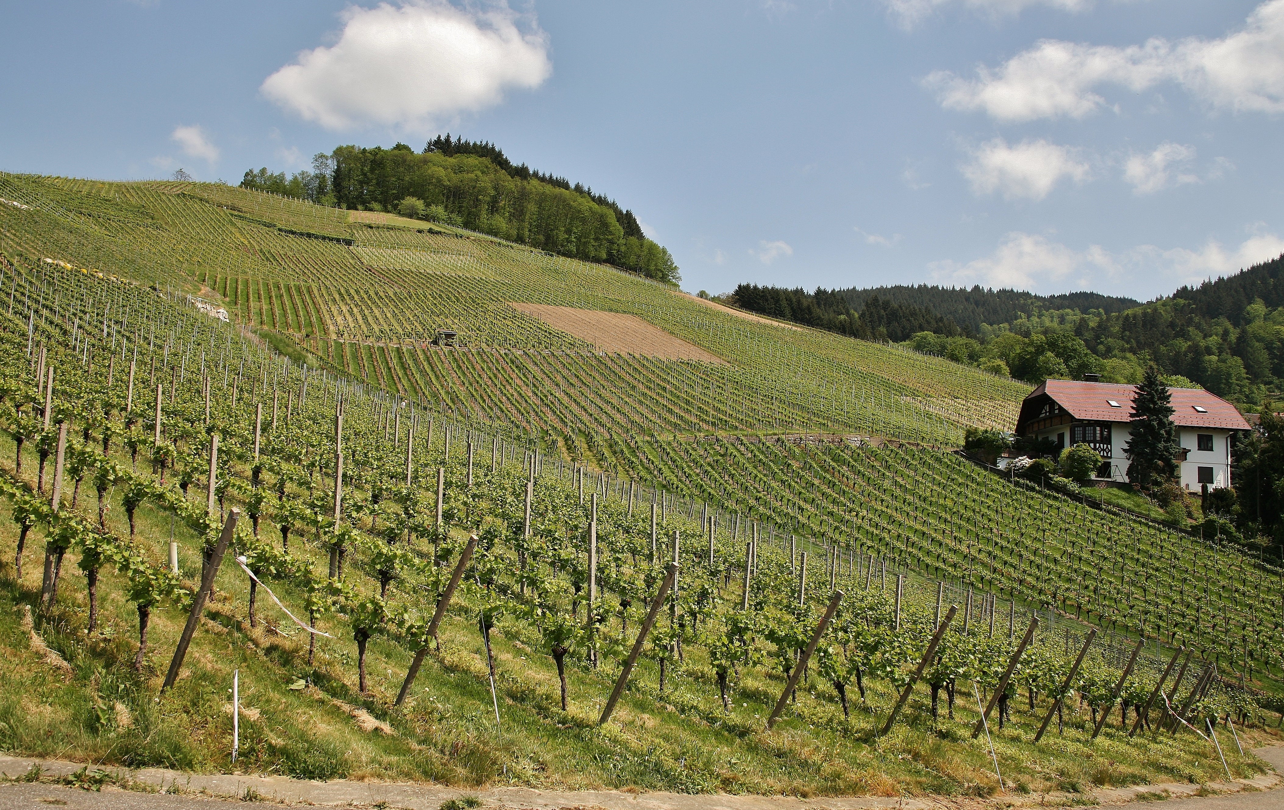 Pfalz