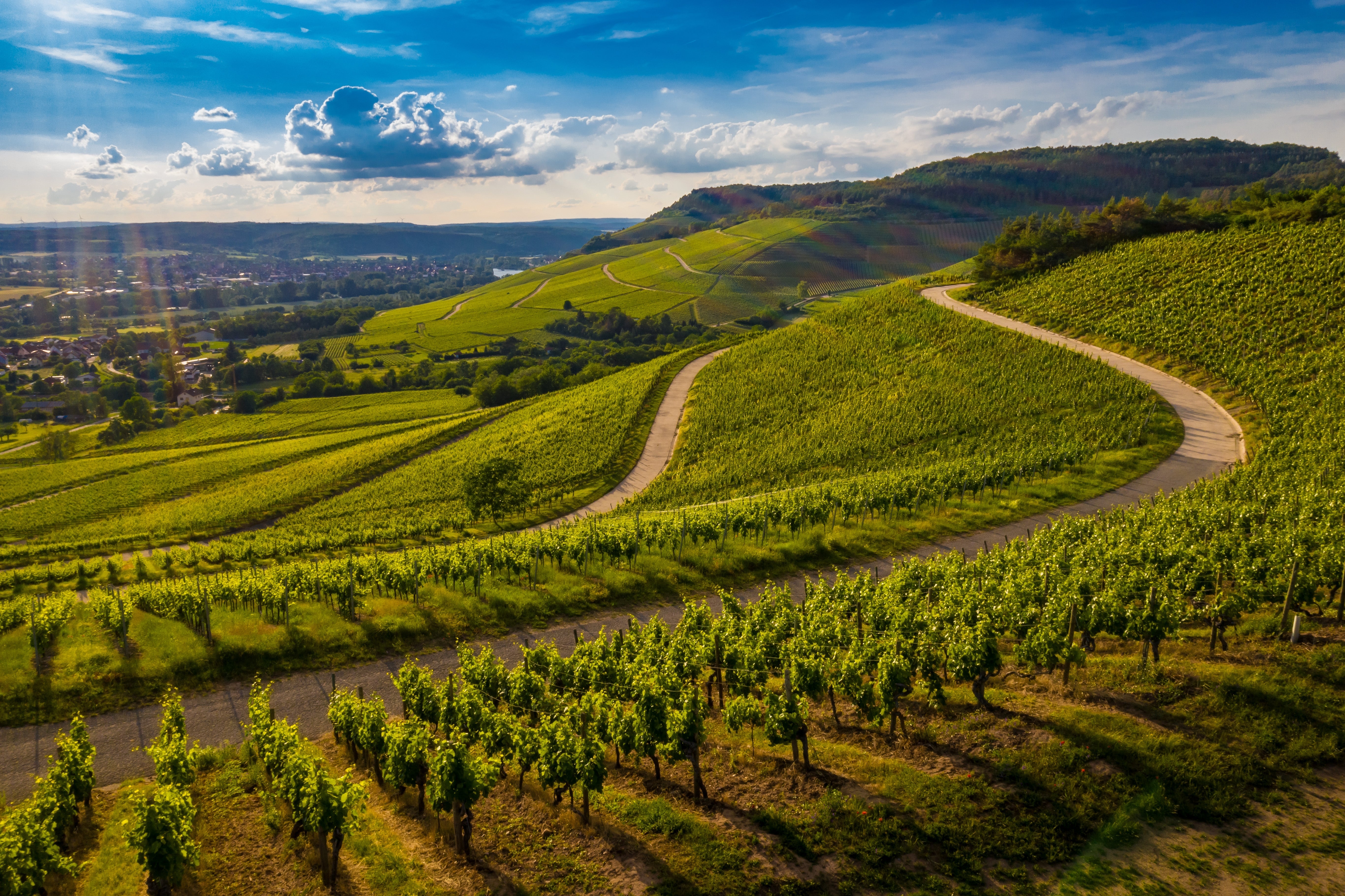Rheinhessen