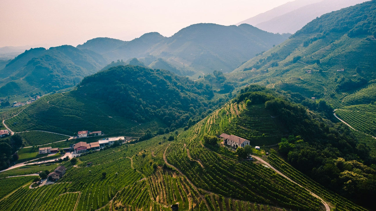 Languedoc – Kollektionsbild