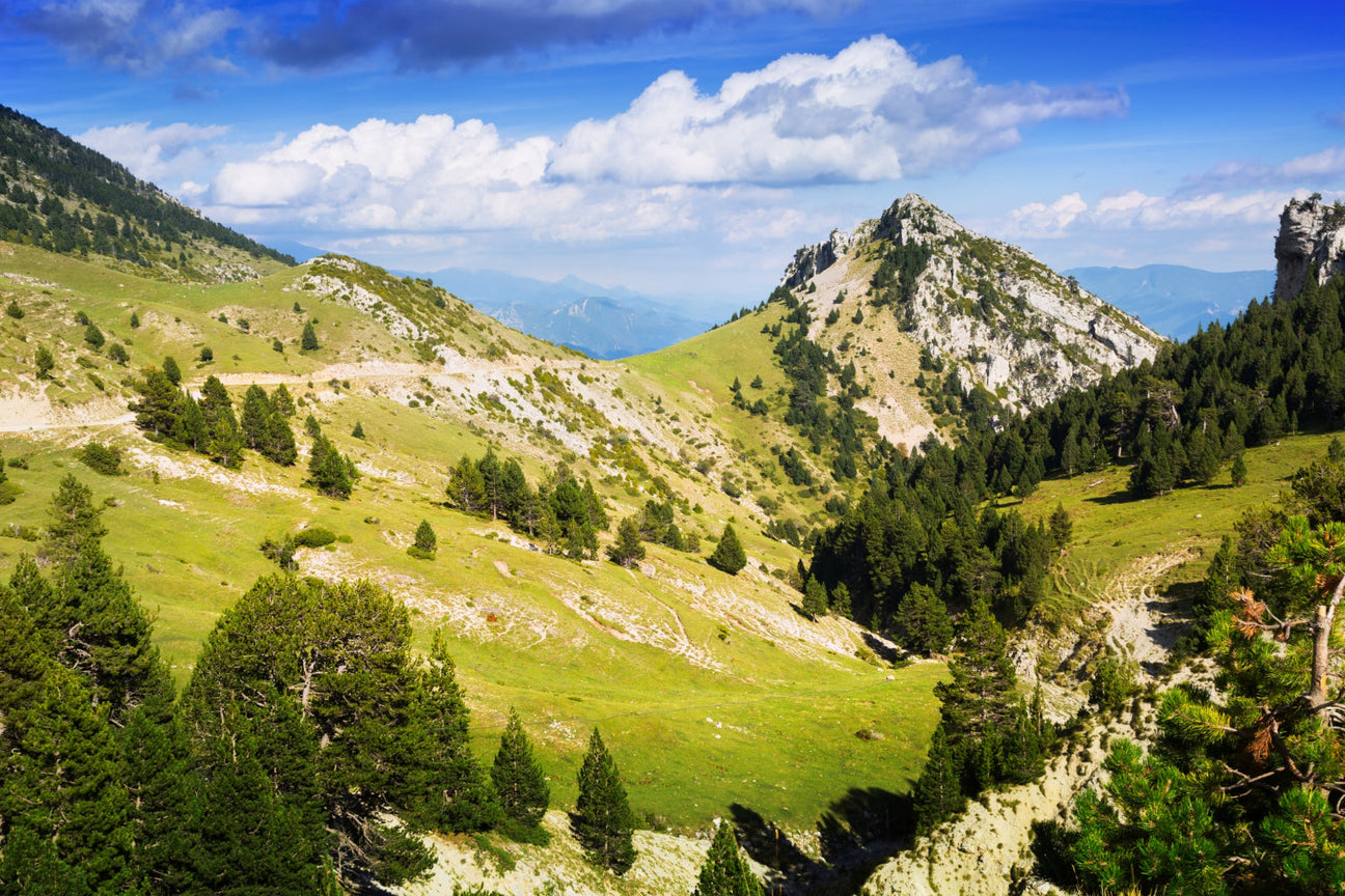 Südtirol – Kollektionsbild