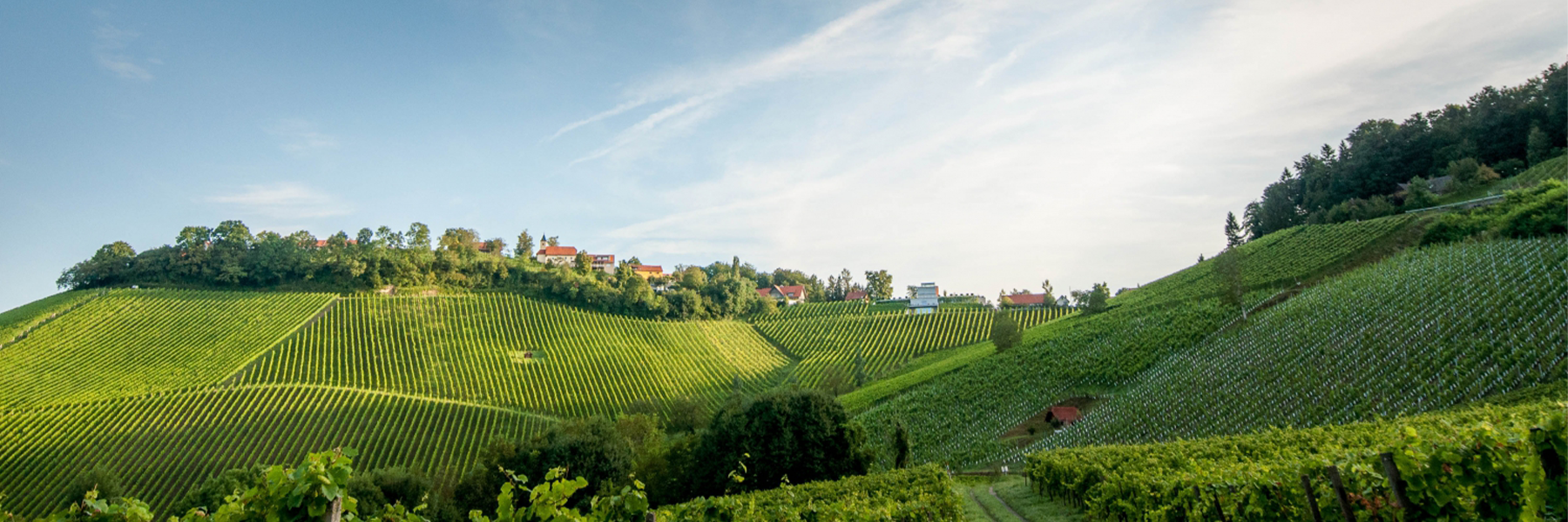 Weine aus Deutschland und Österreich