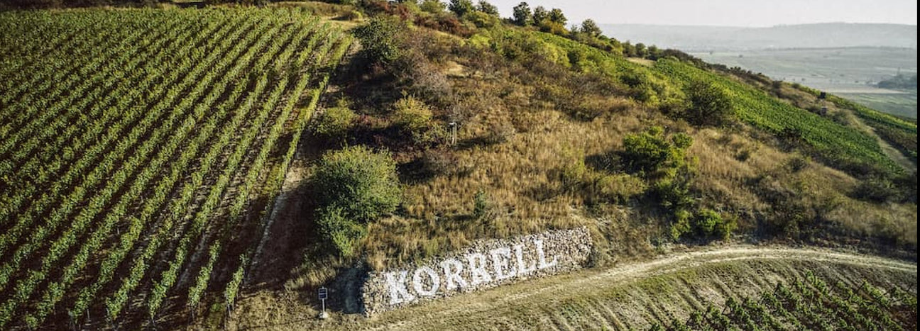 Exklusive Weine Collectors Wine World GmbH